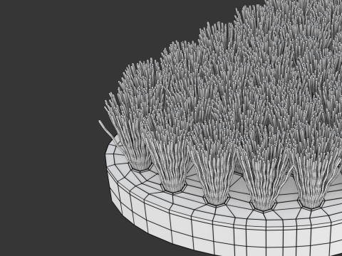 Wooden Scrub Brush Modèle 3D