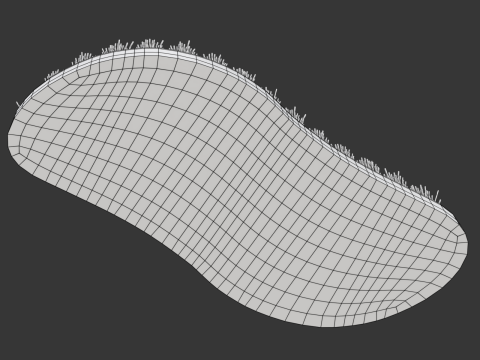 Wooden Scrub Brush Modèle 3D