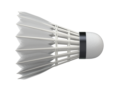Shuttlecock 3D Модель
