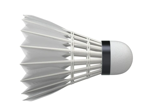 Shuttlecock 3D Model
