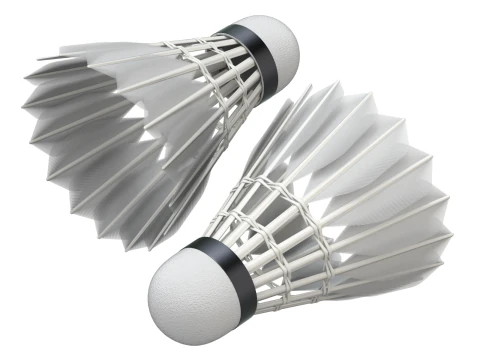 Shuttlecock 3D Model