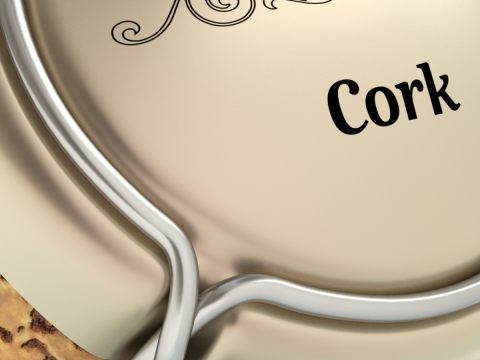 Champagne Cork 3D Model
