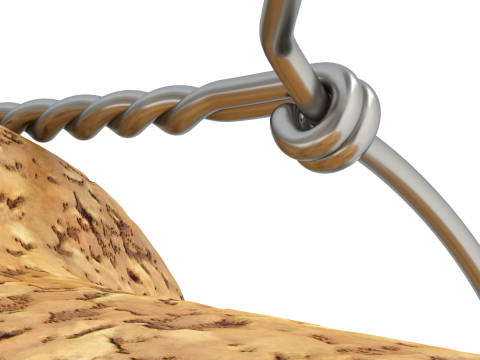 Champagne Cork 3D Model