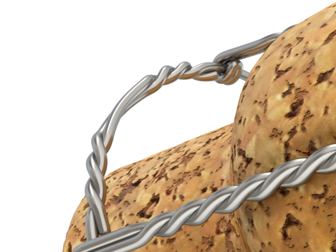 Champagne Cork 3D Model