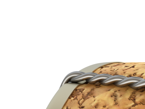 Champagne Cork 3D Model