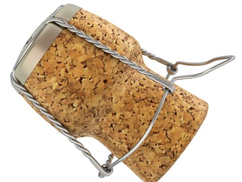 Champagne Cork 3D Model