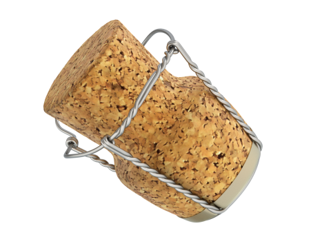 Champagne Cork 3D Model