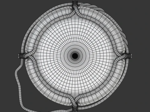 Tappo di champagne Modello 3D