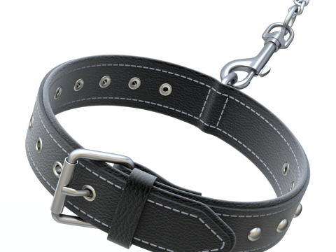 Dog Collar 3D Model