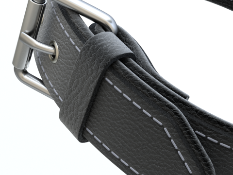 Dog Collar 3D Модель
