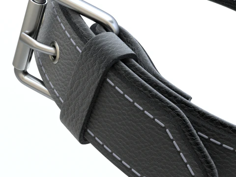 Dog Collar 3D Model
