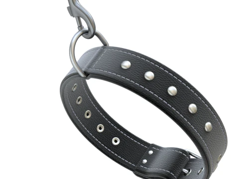 Dog Collar 3D Model