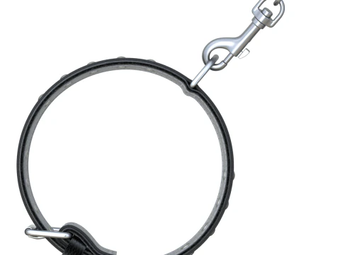 Dog Collar 3D Model