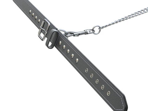 Dog Collar 3D Model