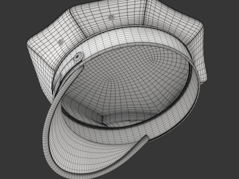 Driver Cap Model 3D