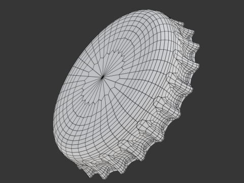 Bottle Cap Set 3D Model