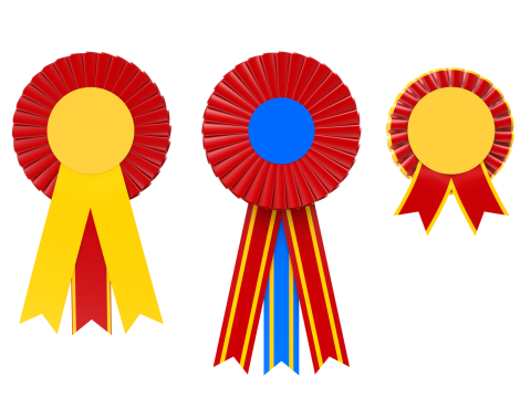 Award Rosette Set 3D-Modell