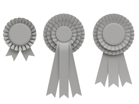 Award Rosette Set 3D-Modell