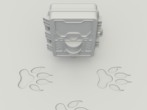 Wildlife Trail Camera Modello 3D
