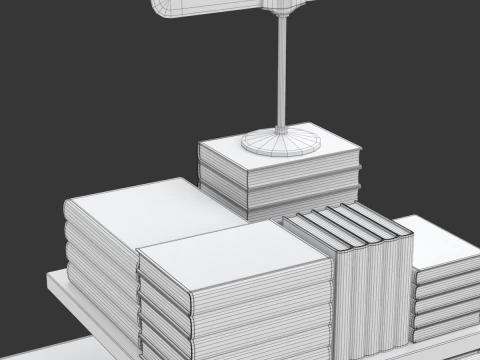 Libri in vendita Modello 3D