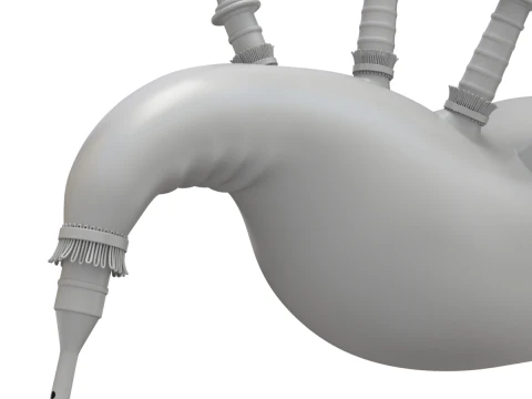 Cornamusa Modello 3D