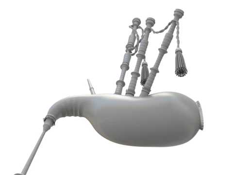 Cornamusa Modello 3D