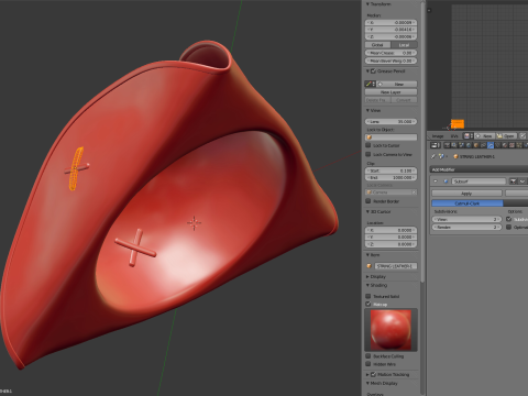 Pirate Hat 3D Model