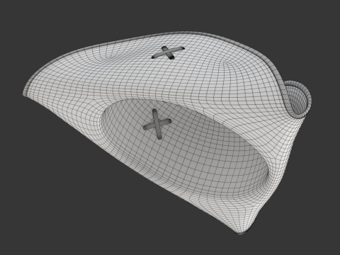 Pirate Hat 3D Model