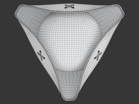 Pirate Hat 3D Model