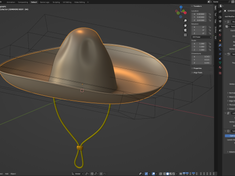 Sombrero 3D Модель