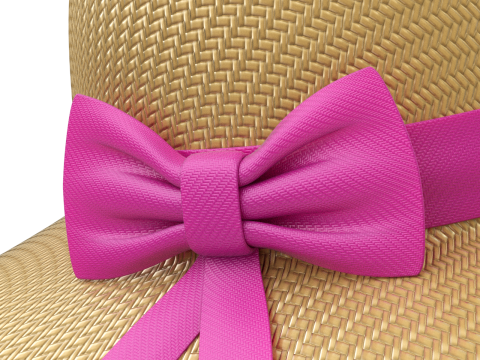 Women Sun Hat Modelo 3D