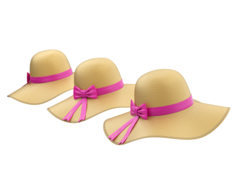 Women Sun Hat Modelo 3D