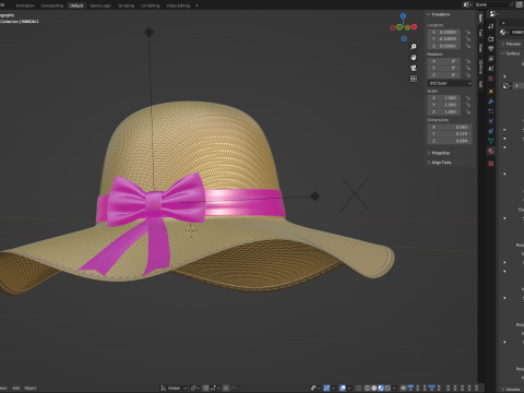 Women Sun Hat Modelo 3D