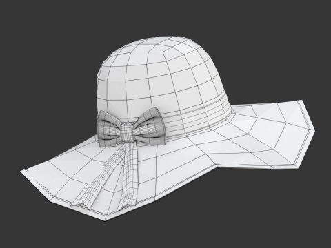 Women Sun Hat Modelo 3D