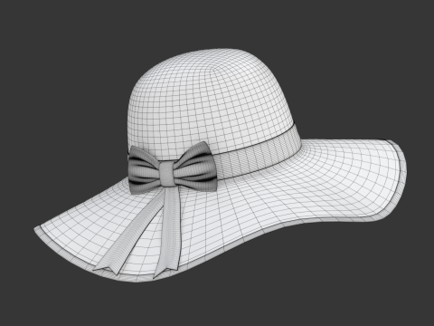 Women Sun Hat Modelo 3D
