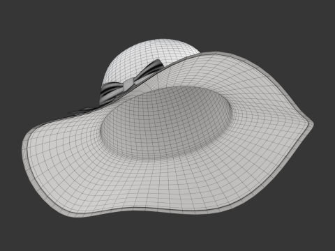 Women Sun Hat Modelo 3D