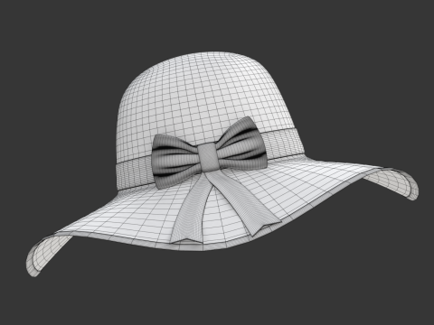 Women Sun Hat Modelo 3D