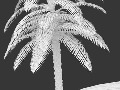 Pool Scene Modelo 3D