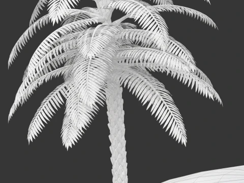 Сцена біля басейну 3D Модель