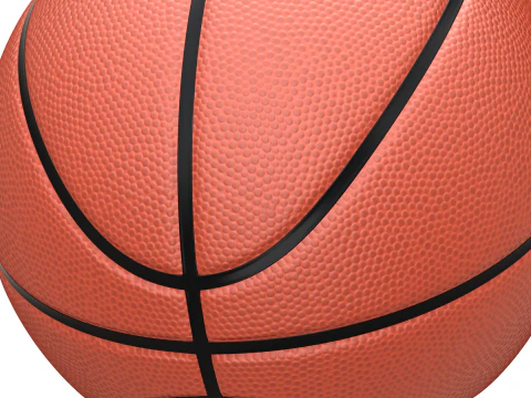 Basketball Animation 3D Model