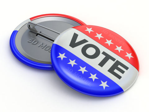 Vote Badge Model 3D