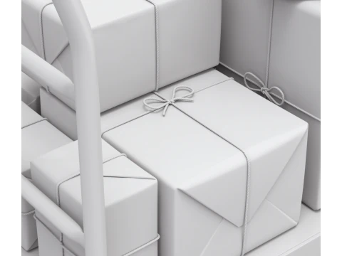 Carrinho de armaz&eacute;m com pacote embrulhado Modelo 3D