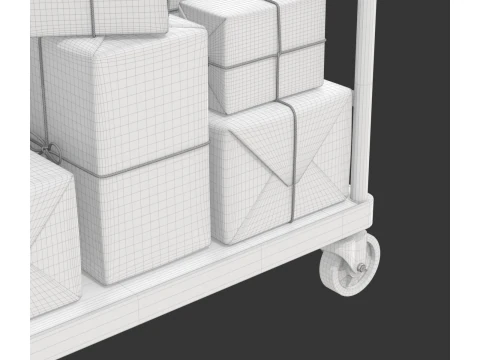 Carrinho de armaz&eacute;m com pacote embrulhado Modelo 3D