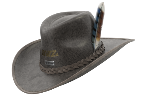Cowboy Hat 3D Model