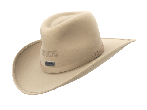 Cowboy Hat 3D 模型
