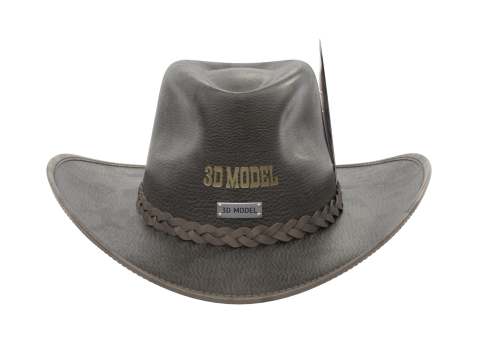 Cowboy Hat 3D 模型