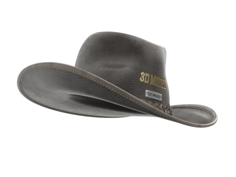 Cowboy Hat 3D 模型
