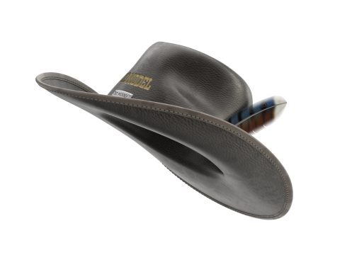 Cowboy Hat 3D 模型