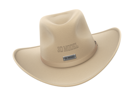 Cowboy Hat 3D 模型