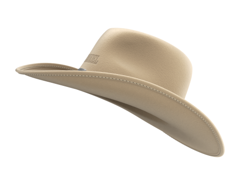 Cowboy Hat 3D 模型